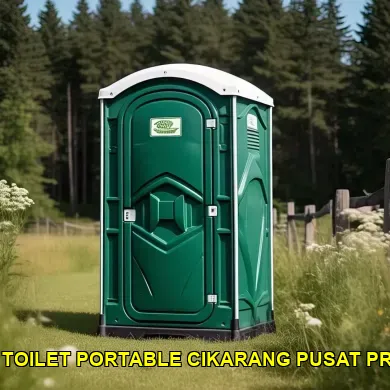 jasa sewa toilet portable cikarang pusat profesional